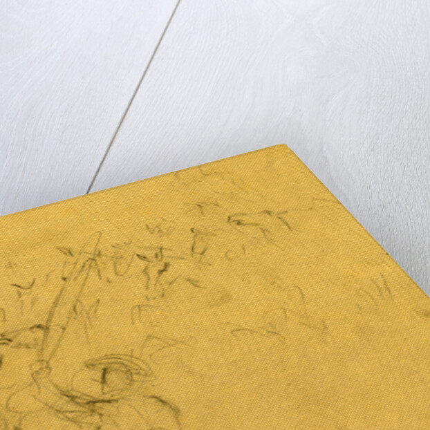 Horses being herded by Alfred R Waud