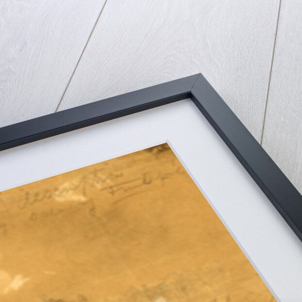 Bayonet charge of the 2nd reg. Col. Hall. Excelsior Brigade. Fair Oaks June 1862 by Alfred R Waud