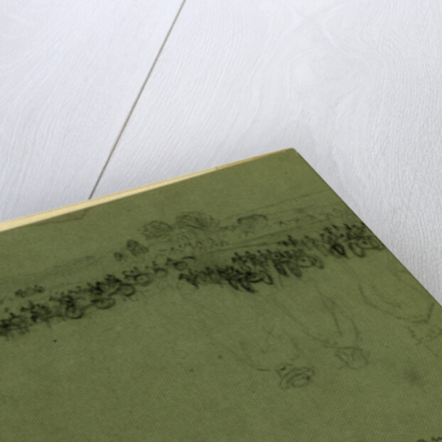 Review. Newport News by Alfred R Waud