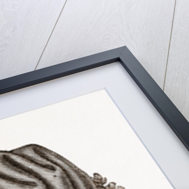 Back View Of Baby's Bonnet by Anonymous