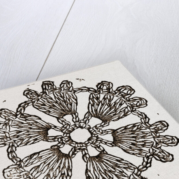 Rosette by Anonymous