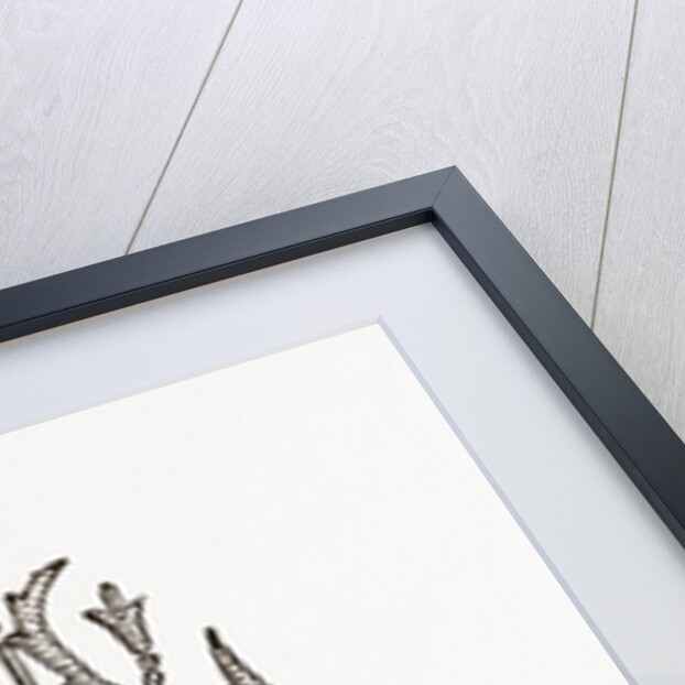 Monogram by Anonymous