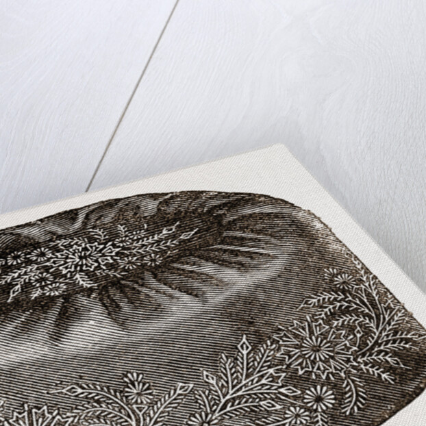 Smoking-cap by Anonymous