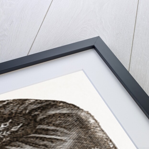 Smoking-cap by Anonymous