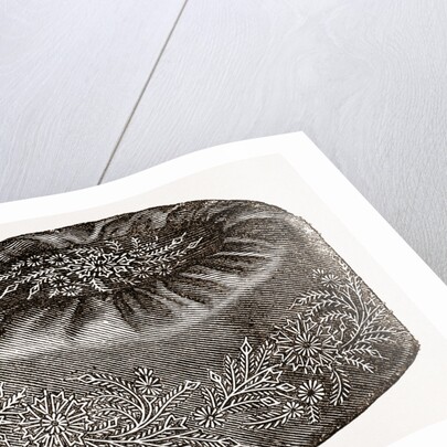 Smoking-cap by Anonymous