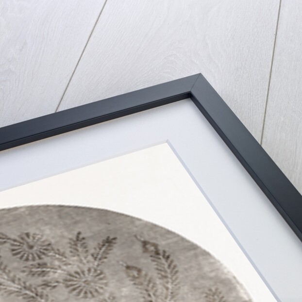 Crown Of Smoking Cap by Anonymous