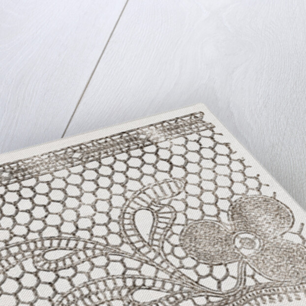 Imitation Of Real Lace by Anonymous