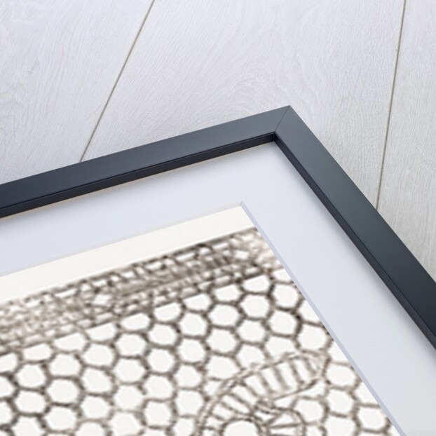 Imitation Of Real Lace by Anonymous