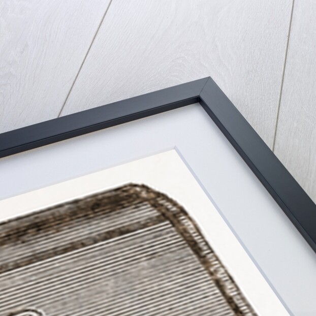 For Cartes De Visite by Anonymous