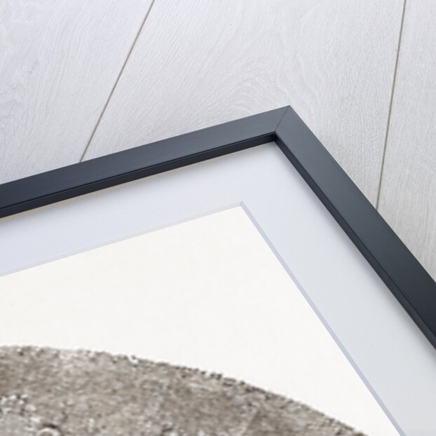 Dress Fan by Anonymous