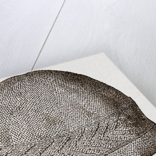 44. Gentleman's Nightcap. by Anonymous