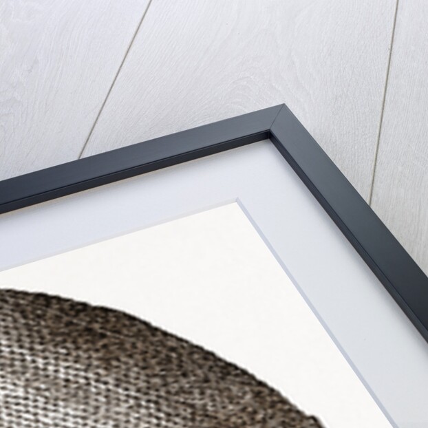 44. Gentleman's Nightcap. by Anonymous