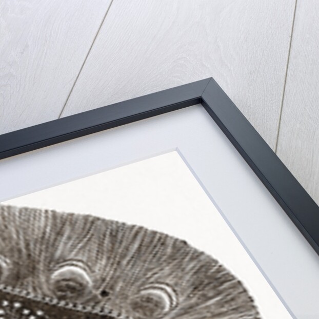 Embroidered Lamp-shade by Anonymous