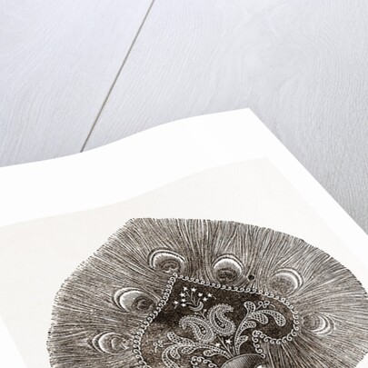 Embroidered Lamp-shade by Anonymous