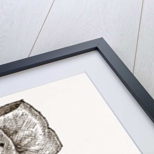 Band For Dinner Napkins by Anonymous