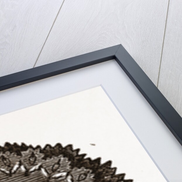 Ornamental Penwiper by Anonymous