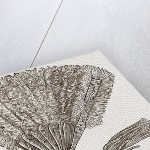 Fan For Evening Wear by Anonymous