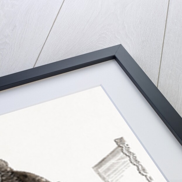 19th Century Fashion, Bonnet by Anonymous