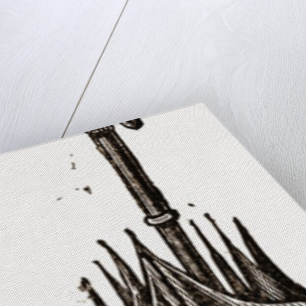 Sunshade, Umbrella by Anonymous