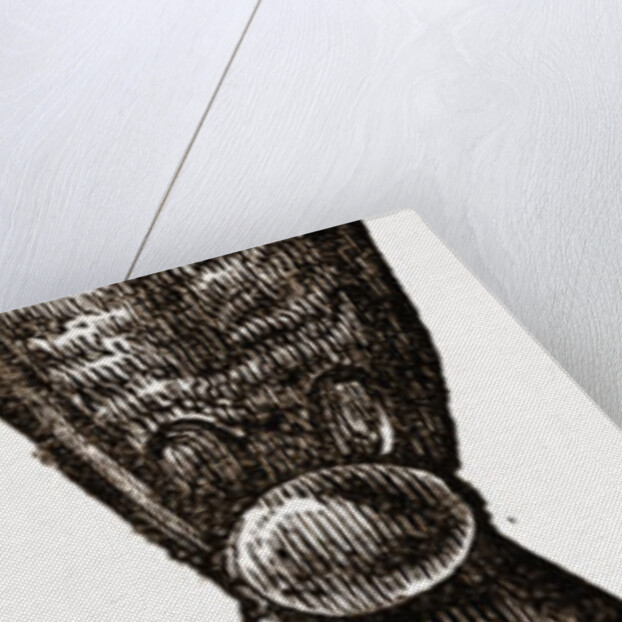 Detail Of Sunshade, Umbrella by Anonymous
