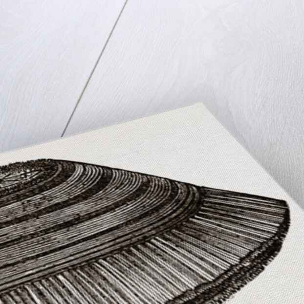 Furniture Brush by Anonymous