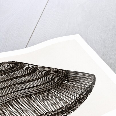 Furniture Brush by Anonymous