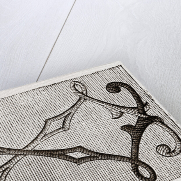 Needlework by Anonymous