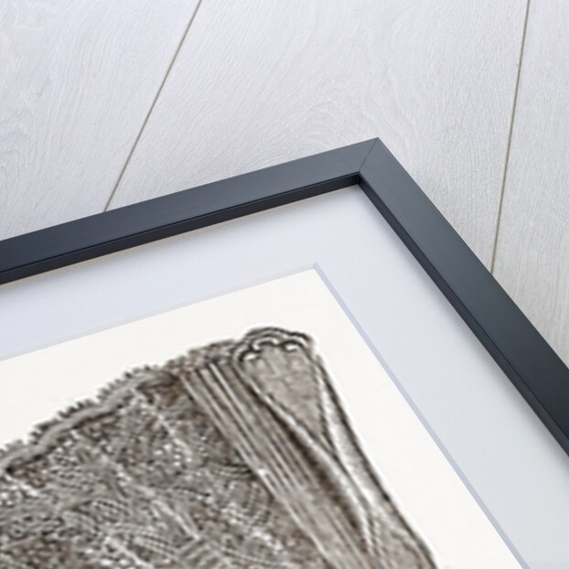 Fan Of Ivory And Real Lace by Anonymous