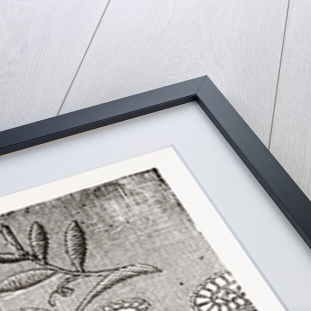 Embroidered Edging For Underlinen by Anonymous