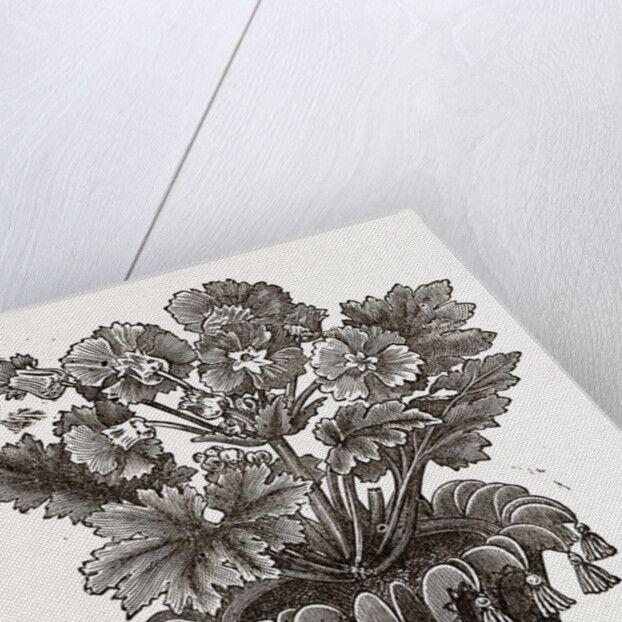 Cover For Flower Pot by Anonymous