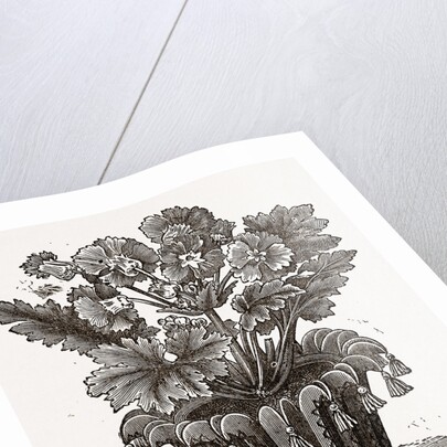 Cover For Flower Pot by Anonymous