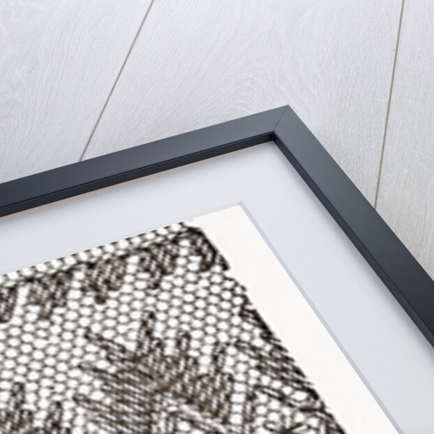 Design For. Darning On Net by Anonymous