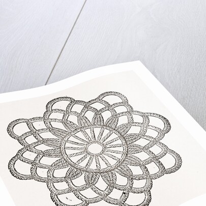 Rosette by Anonymous