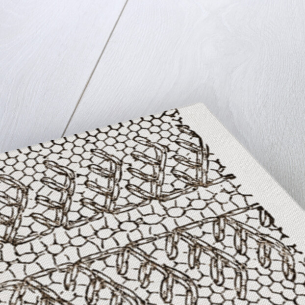 Design For Darning On Net by Anonymous