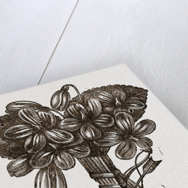 Flower-holder by Anonymous