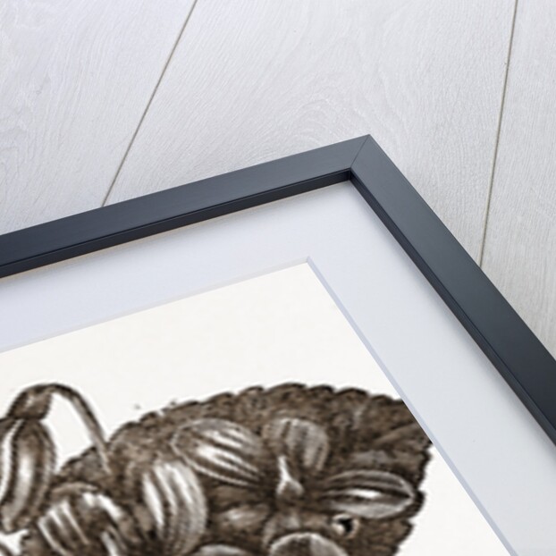 Flower-holder by Anonymous