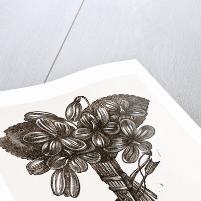 Flower-holder by Anonymous