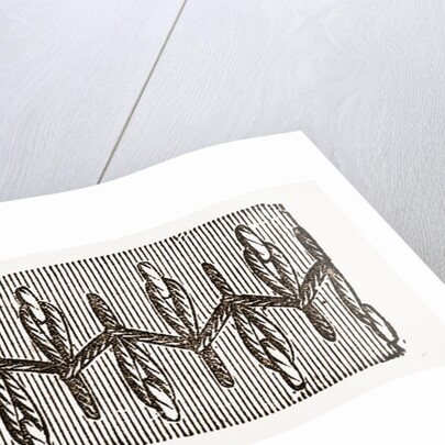 Needlework by Anonymous