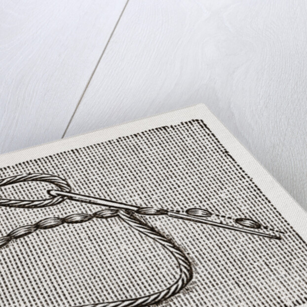 Needlework by Anonymous