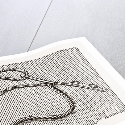 Needlework by Anonymous