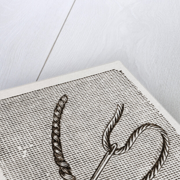 Needlework by Anonymous