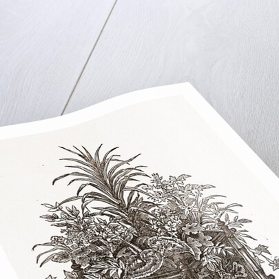 Jardiniere by Anonymous
