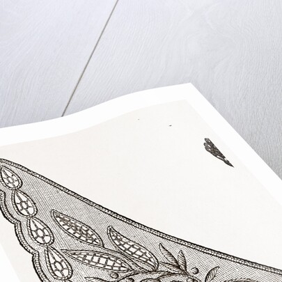 Design For Collarette by Anonymous