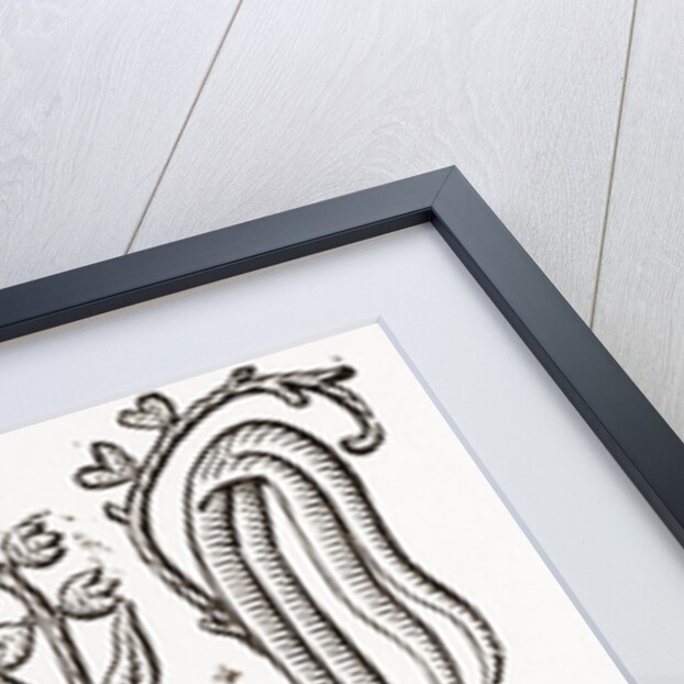 Monogram by Anonymous