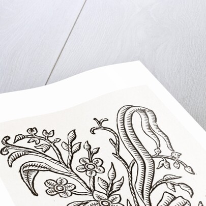 Monogram by Anonymous