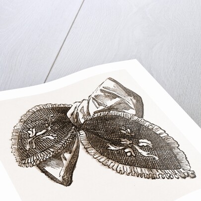 Needlework by Anonymous