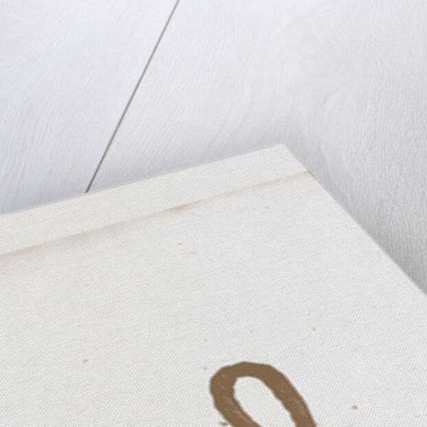 New Models In Passementerie by Anonymous