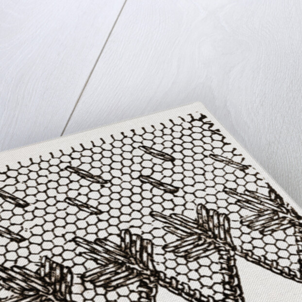 Design For Darning On Net by Anonymous