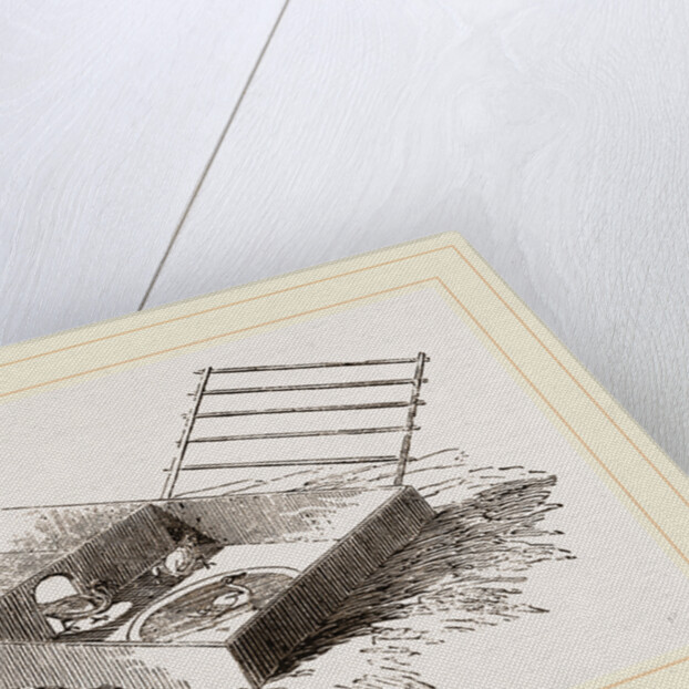 Artificial Mother for Water-fowl by Anonymous