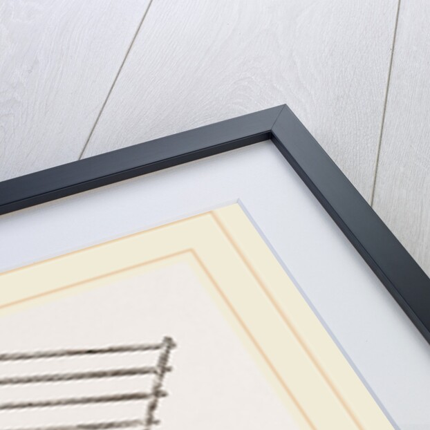 Artificial Mother for Water-fowl by Anonymous